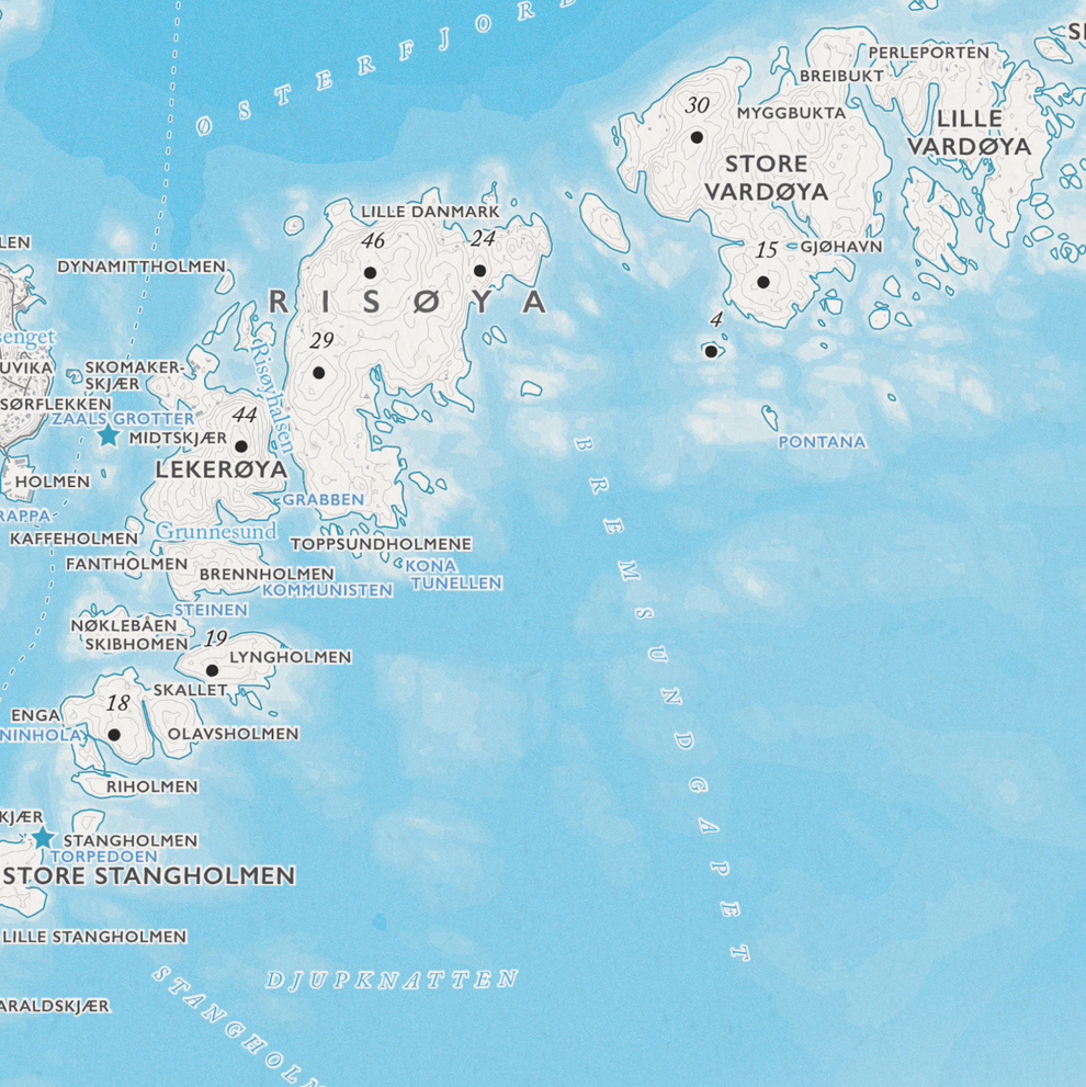 Skjærgårdskart Risør – Veggkart | Dapa Maps